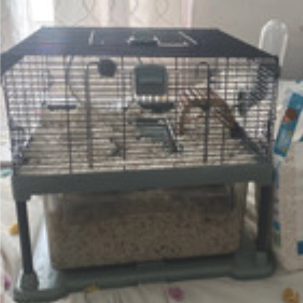 Hamster Cage